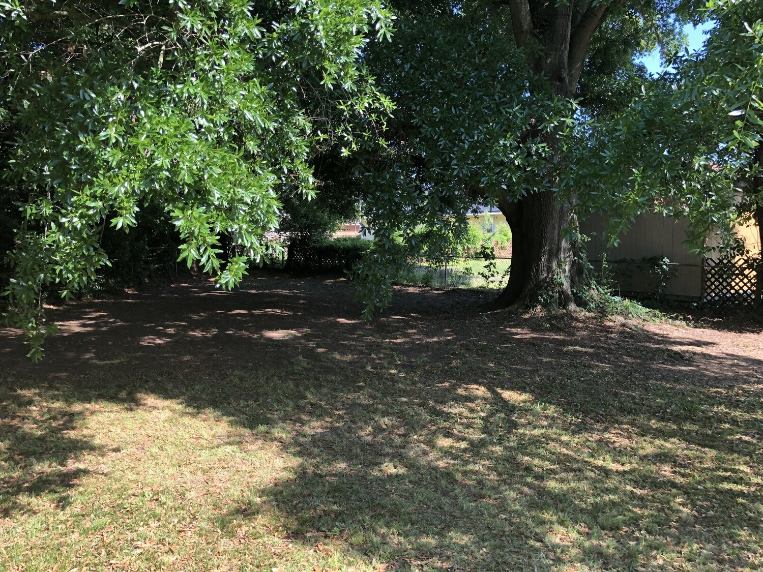 Full Land/Home Debris Removal