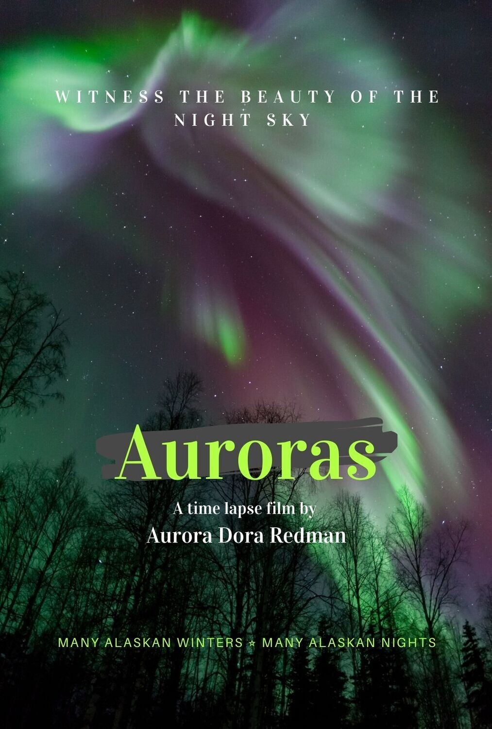 Auroras the Film  (DVD or USB)