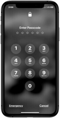 DISABLED iPad ios 13+ FMI OFF(COMPUTER NEEDED)