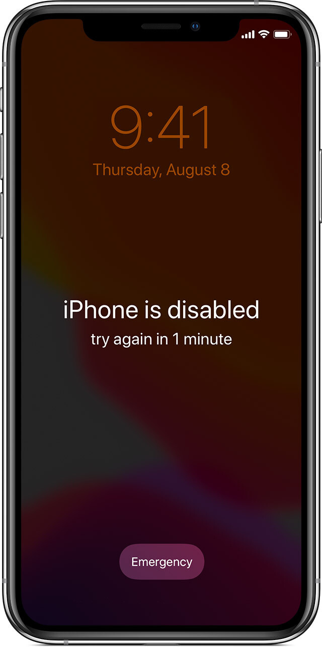 DISABLED iPhone 6s-X 13+ FMI OFF(COMPUTER NEEDED)