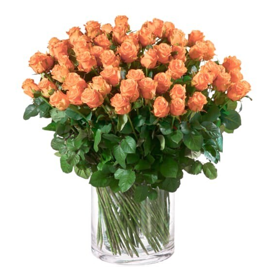 Rosen mittellang, 50 - 60 cm in rosa, orange, weiss, lachs