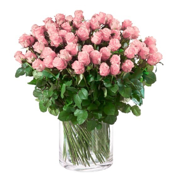Rosen mittellang, 50 - 60 cm in verschiedenen Farben
