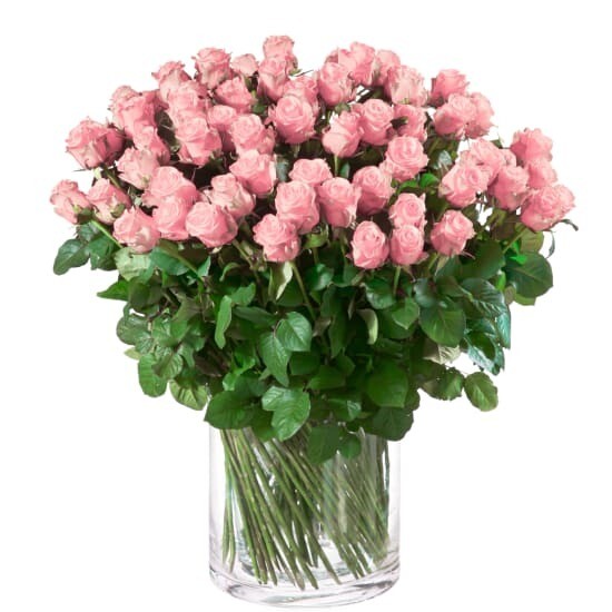 Rosen mittellang, 50 - 60 cm in rosa, orange, weiss, lachs