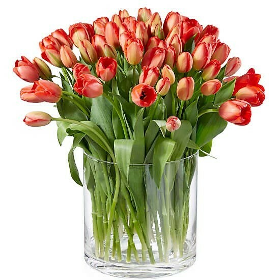 Tulpen in rot, weiss, gelb, rosa, violett