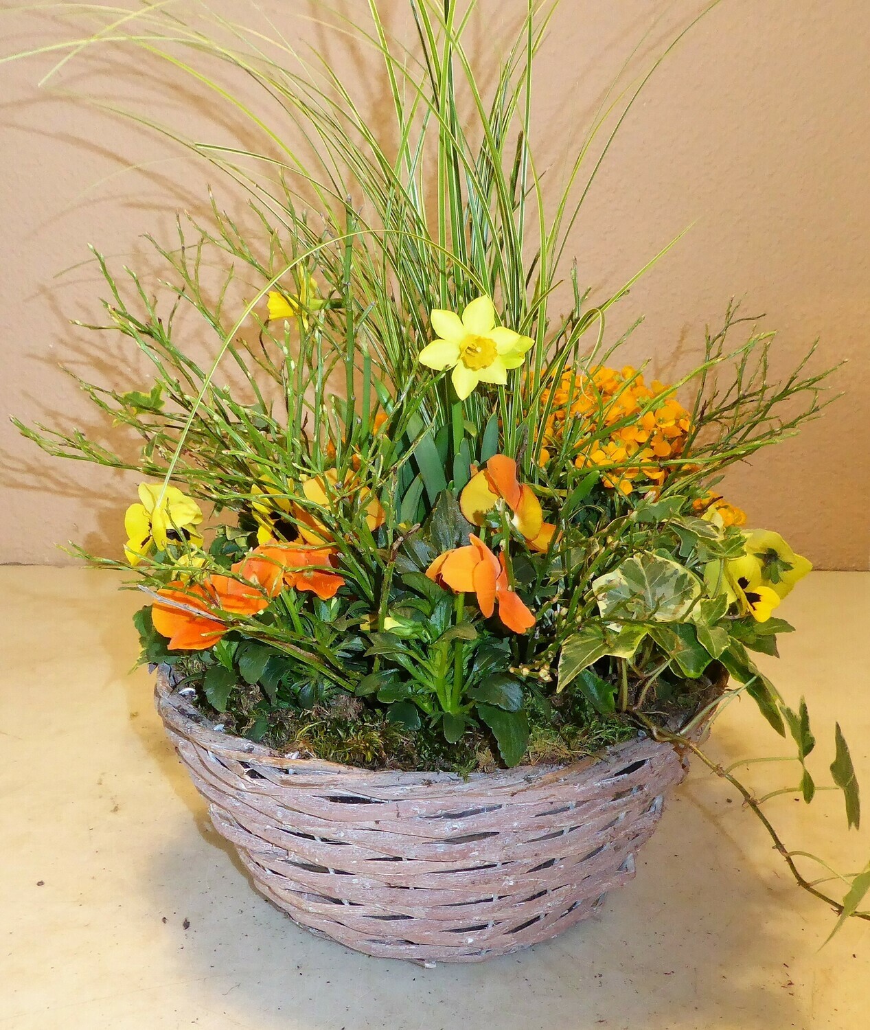 Bepflanzter Korb Frühling