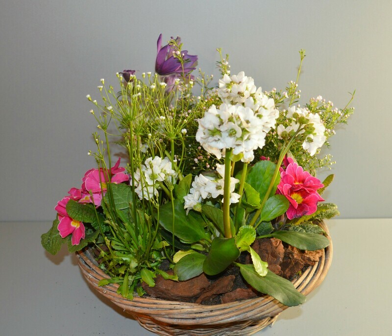 Bepflanzter Korb Frühling