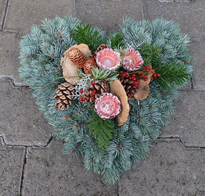 Blautannenherz  (Lieferfrist 24 Std.)