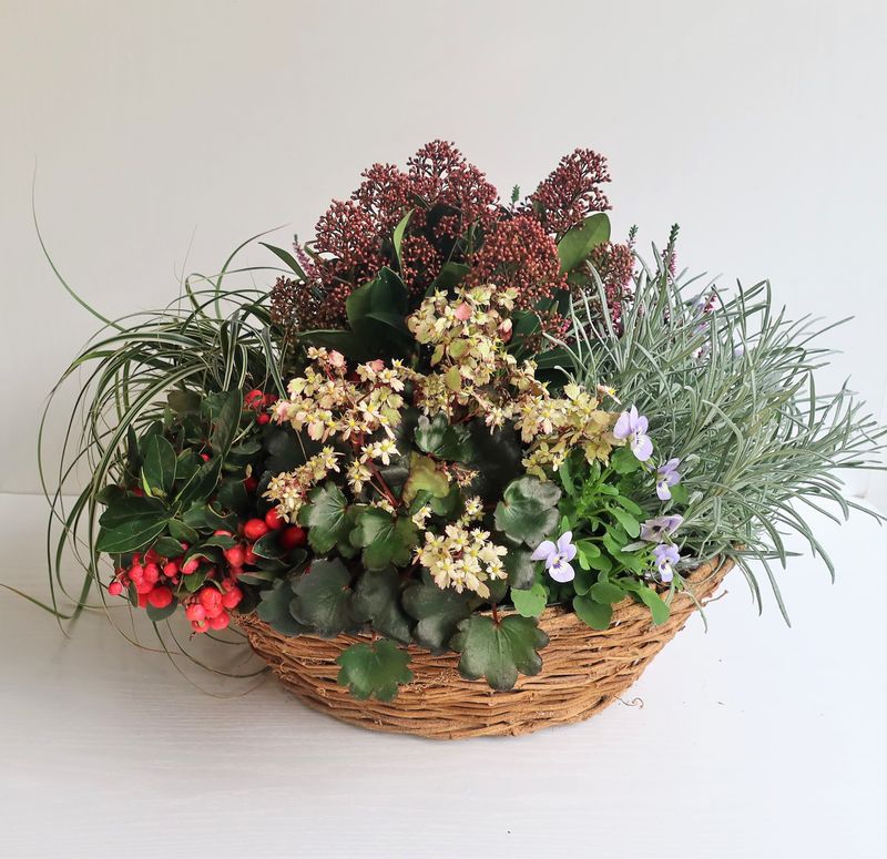 Bepflanzter Korb Herbst / Winter