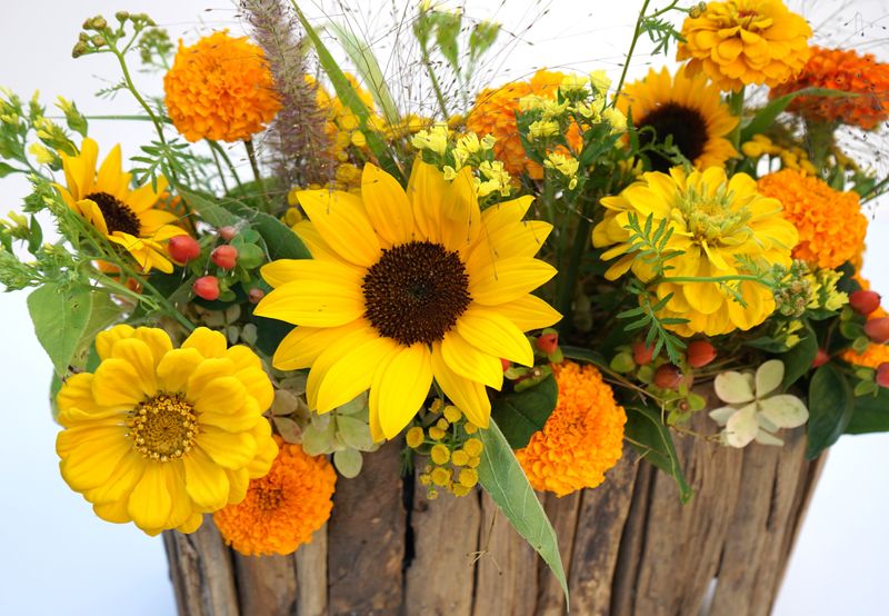 Sommerbox