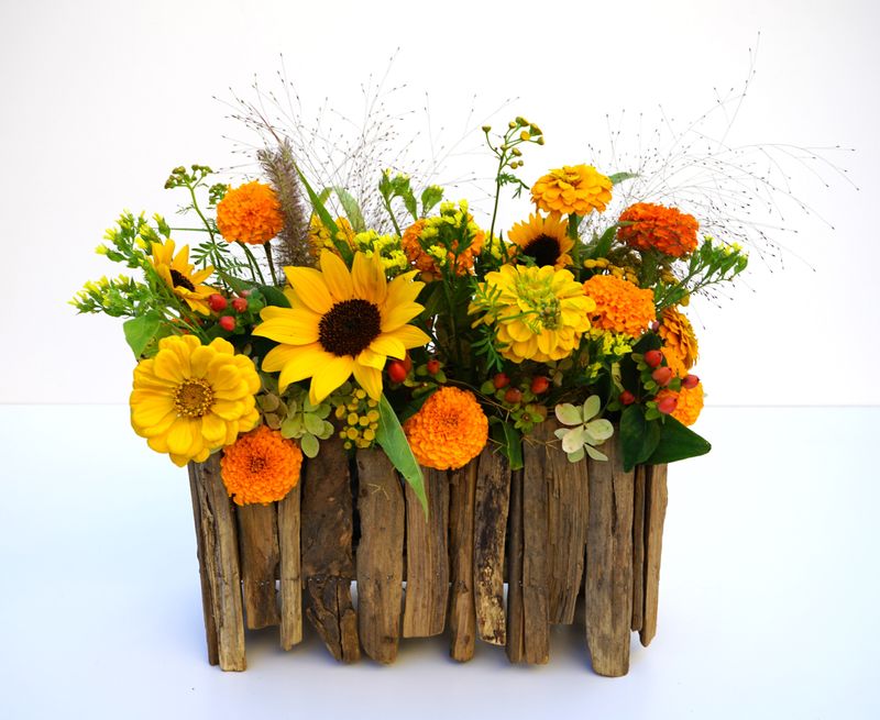 Sommerbox