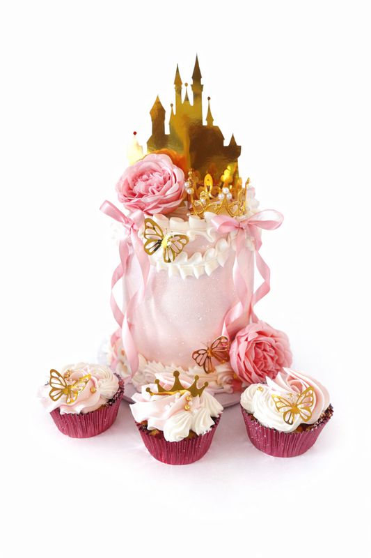 Cake &amp; Cupcake Combo