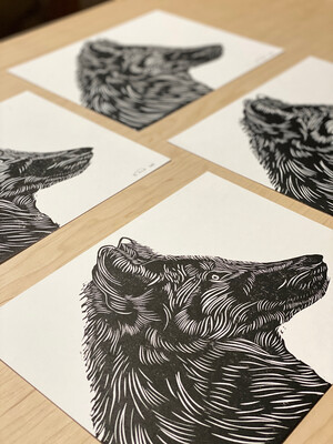 Young Wolf Young Wolf