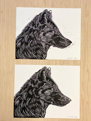 Young Wolf Young Wolf