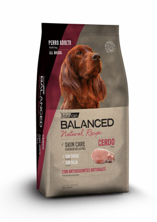 Vitalcan Dog Balanced Natural д/собак свинина 3 кг