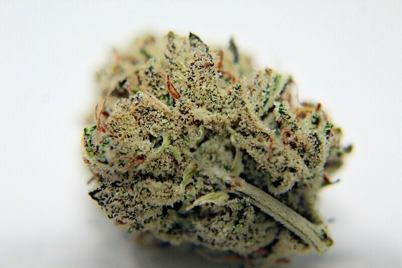 Lemon Cream Seed