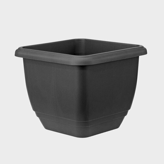 KET Plt Balconniere Square