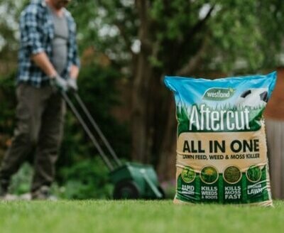 Lawn Feeding and Weed Control