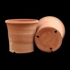 TPC Kaspo Pot