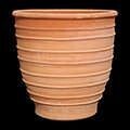 TPC Exara Pot