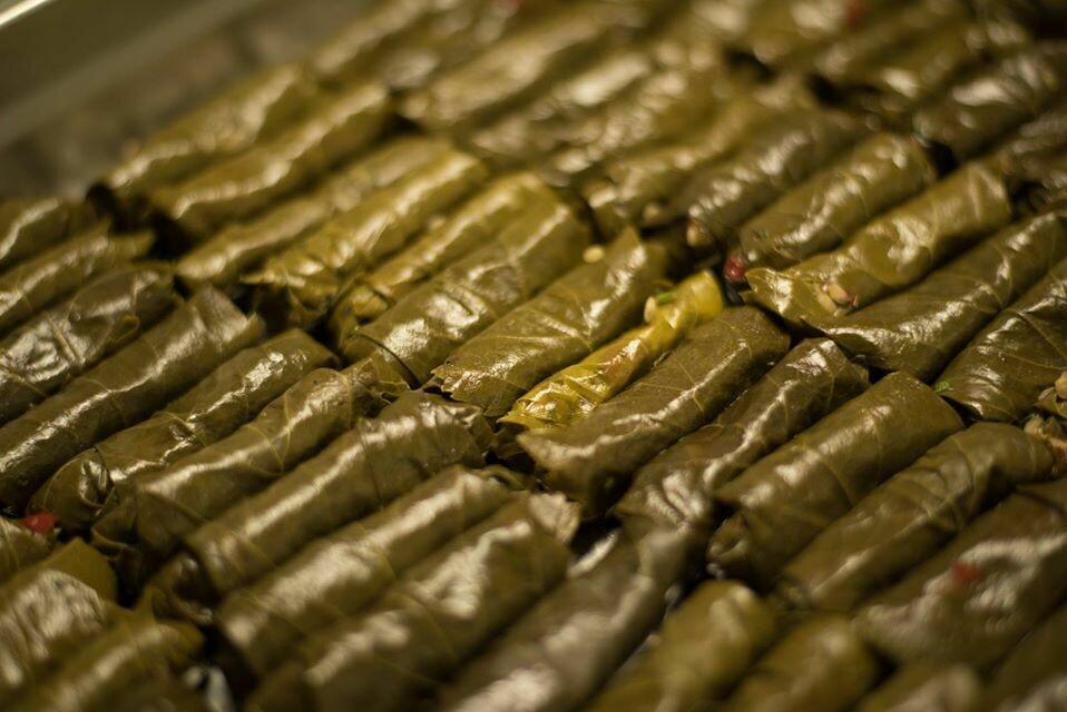 Vine Leaves