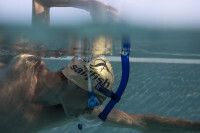 Sailfish SNORKEL