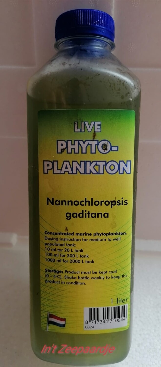 Phyto plankton