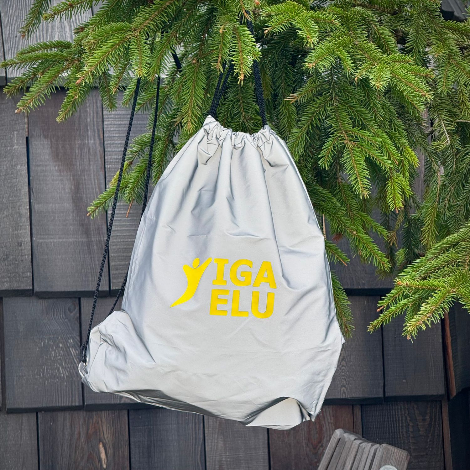 Helkurseljakott Iga Elu, hall