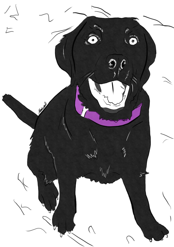 Retrato de tu mascota. Simple, sin sombreado.