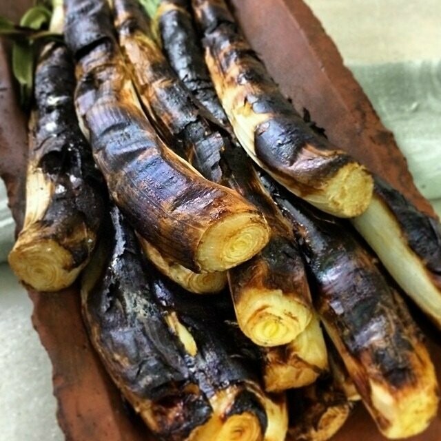 Calçots