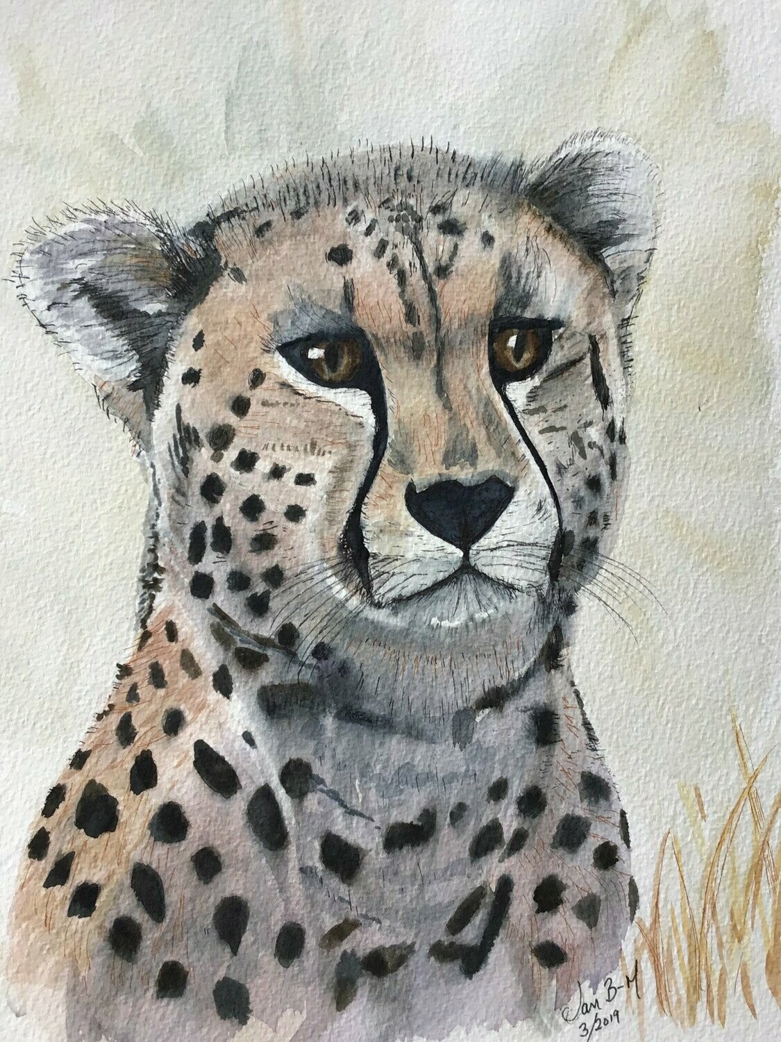 Cheetah