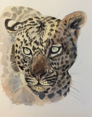 Big Cats