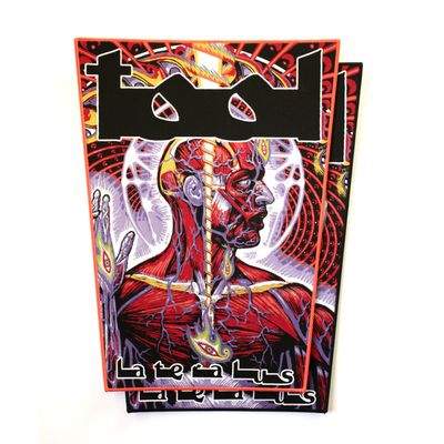 TOOL - Lateralus - Backpatch