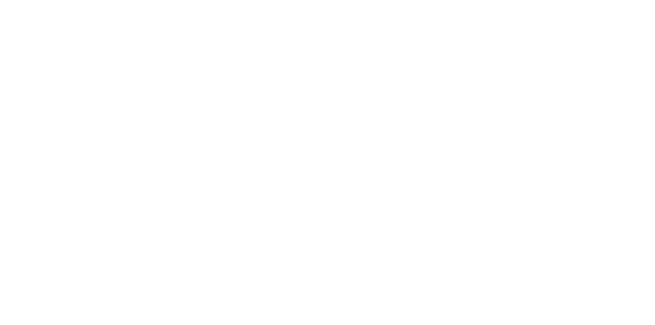 Servicios Dollys Ecologica