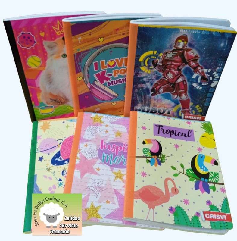 COMBO DOCENA DE CUADERNOS CRISVI (UNO DE REGALO)