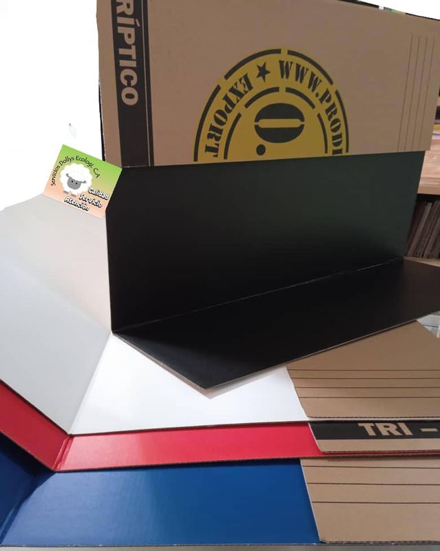CARTON DE EXPOSICION TABLERO TRIPTICO PARA PRESENTACIONES TRI-FOLD DISPLAY BOARD ( TAMAÑO GRANDE Y PEQUEÑO ) SOLO COLOR BLANCO Lapbook