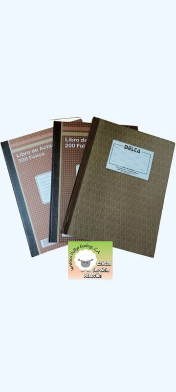 LIBRO DE ACTAS DE DIFERENTES FOLIOS ( 100, 200  HOJAS), LIBRO DE ACCIONISTAS ( 50 HOJAS ), LIBRO DE CONTABILIDAD DE 2 0 3 COLUMNAS