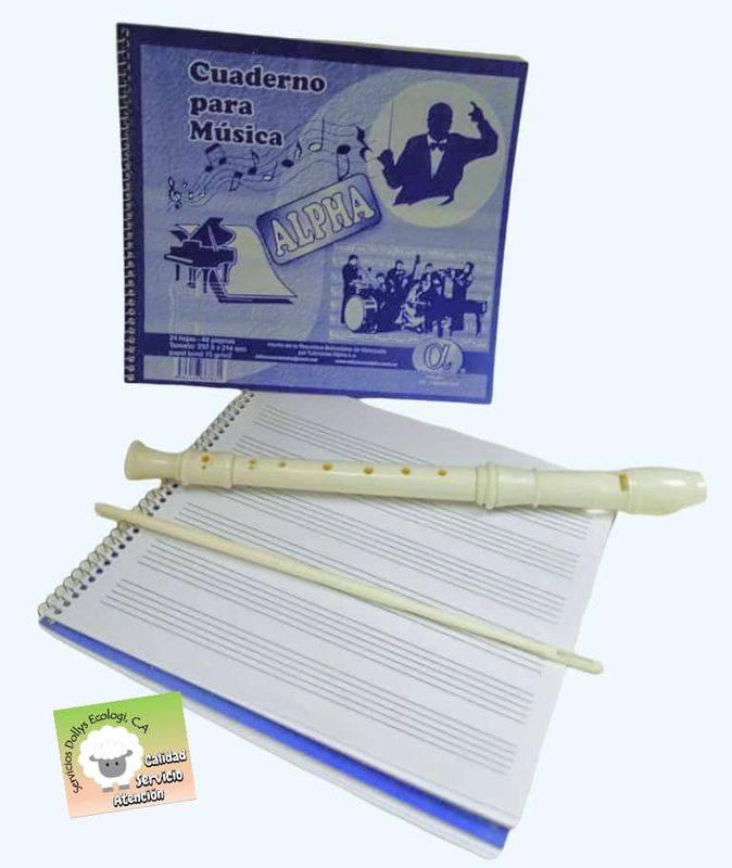 FLAUTA DULCE ( PLASTICA)