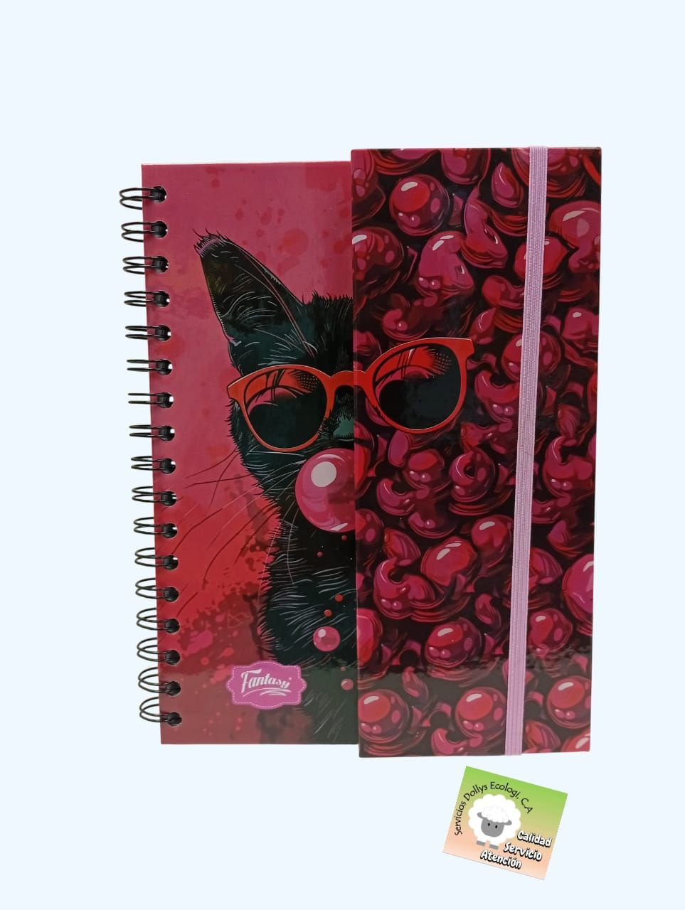 LIBRETAS EN ESPIRAL MEDIANAS FANTASY POST (LINEA FEMENINA) DE TAMAÑO MEDIANO ( 22 X 17 CM ) LIBRETAS EN ESPIRAL MEDIANAS FANTASY POST (LINEA FEMENINA) DE TAMAÑO MEDIANO ( 22 X 17 CM ), SELECCIONE SU PREFERENCIA: POST GATO CON LENTES