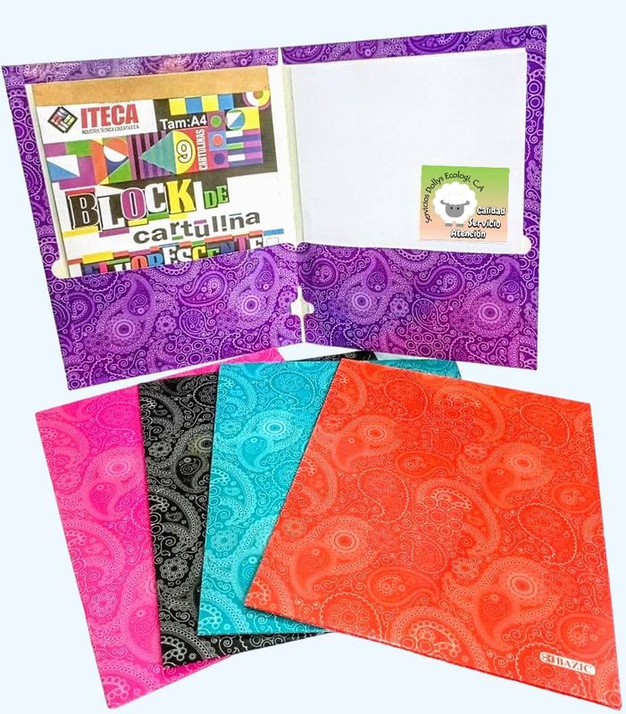 CARPETA DE CARTON O PLASTICA  DOBLE SOLAPA TAMAÑO CARTA O A4