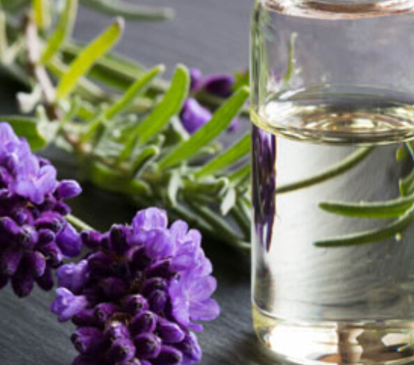 Lavendelöl reinst 100ml