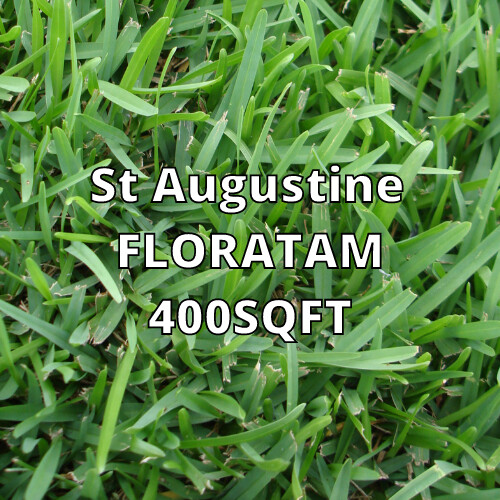 St Augustine Floratam 400sqft (Full Sun)