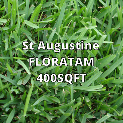 St Augustine Floratam 400sqft (Full Sun)