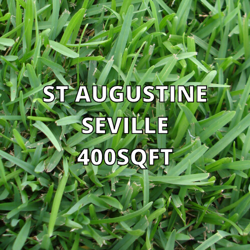 St Augustine Seville 400sqft (Partial Shade)
