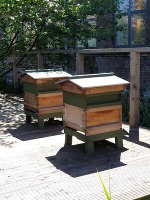 Beekeeping Experience Half Day