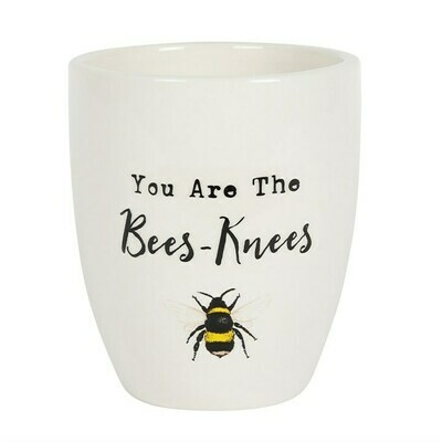 YOU ARE THE BEES KNEES CERAMIC PLANT POT