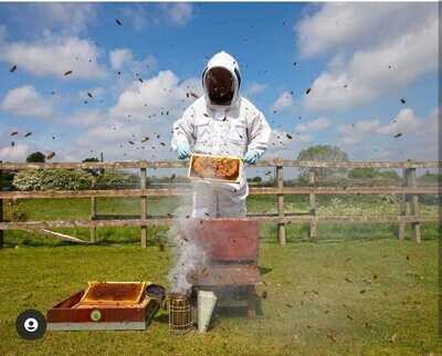 All About Bees
