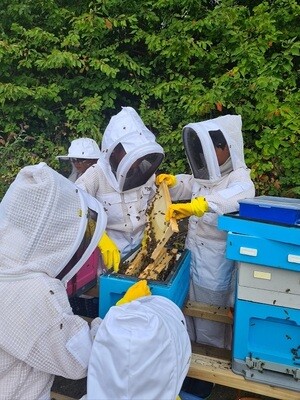 Beekeeping Courses &amp; Experience Days
