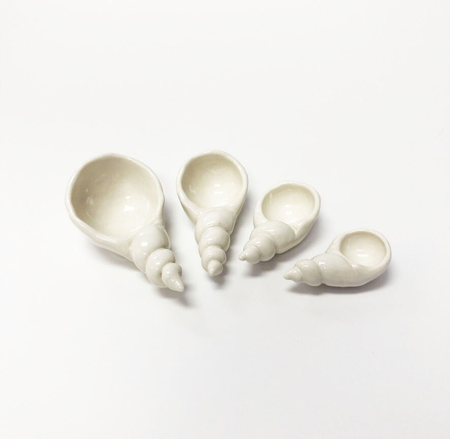 Shell Measuring Spoons