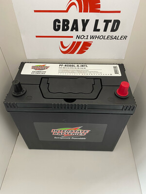 Interstate Ns60L Battery