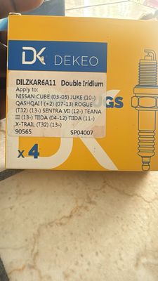Dilzkar6a11 Double Platinum